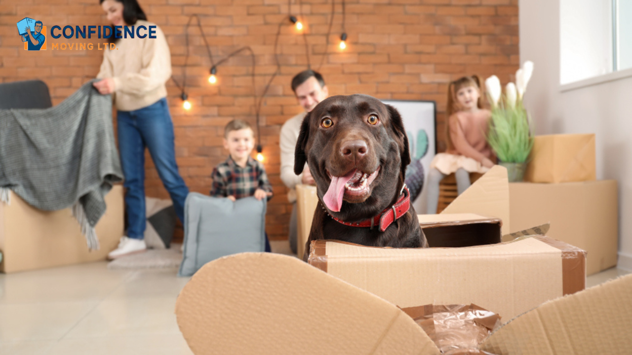 Pet-Friendly Moving Tips: How Local Movers in Pitt Meadows Can Make It Safe for Your Pets